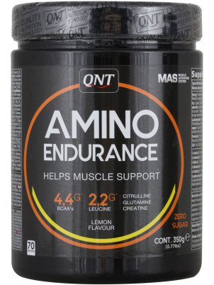 QNT Amino Endurance  350g 350 г