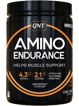 QNT Amino Endurance  350g