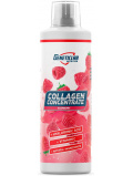 Geneticlab Collagen Support 500ml