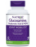 Natrol Hyaluronic Acid MSM Glucosamine