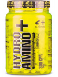 4+ Nutrition HYDRO AMINO+  300tab
