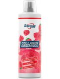 Geneticlab Collagen Support 500ml