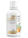 Maxler Chlorophyll Liquid Super Concentrated 450 ml Citrus