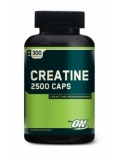 Optimum Nutrition Creatine 2500mg 300caps