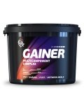 4UZE Multicomponent Gainer