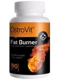Ostrovit Fat Burner 90 tab