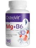 Ostrovit Mg + B6 90 tab