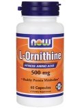 NOW  L-Ornithine 500mg 60 cap
