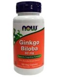 NOW  Ginkgo Biloba 60mg 120 cap