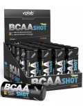 VP  Laboratory BCAA Shot Box 20shot x 60ml