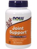 NOW  Joint Support 90 cap