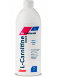 Cybermass L-Carnitine Concentrate 500ml