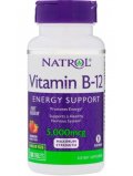 Natrol Vitamin B-12 100 tab