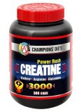 Академия-Т Creatine Power Rush 3000 300 cap