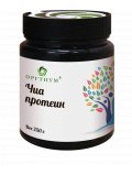 Оргтиум Протеин семян Чиа  250г