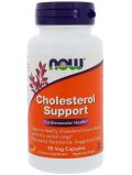 NOW  Cholesterol Support  90 cap