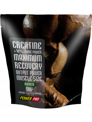Power Pro  Creatine Maximum Recovery  500g 500 г